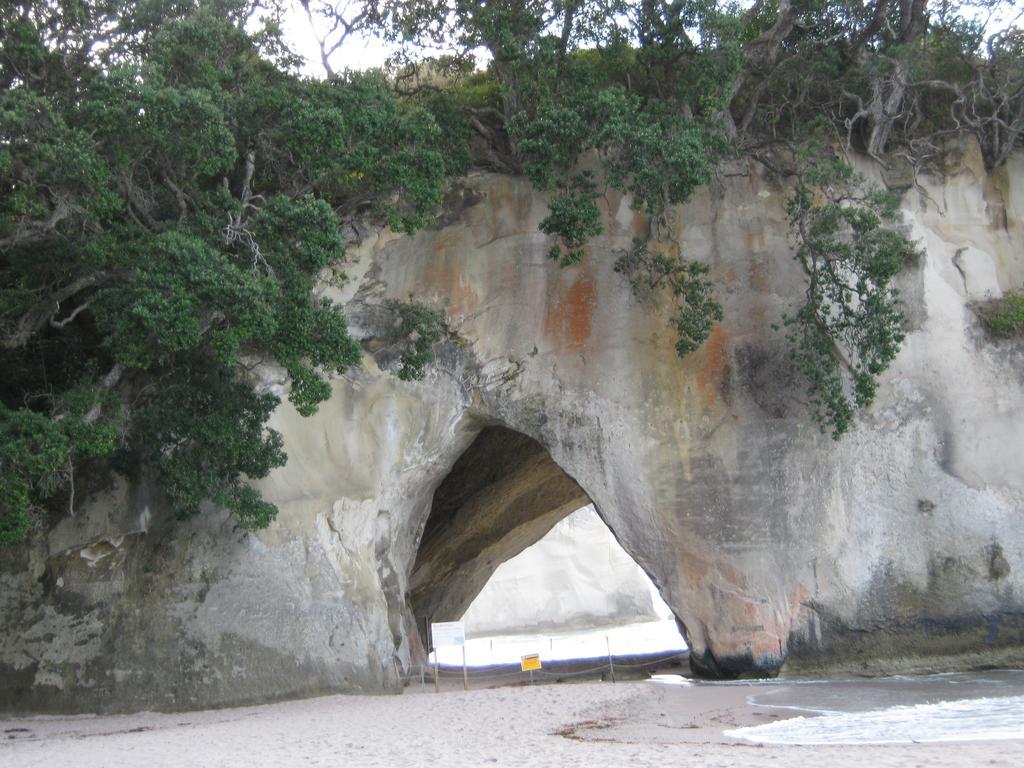 Hahei Beach Escape חדר תמונה